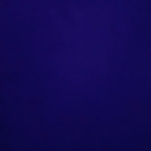 Meet your Posher, Dylan